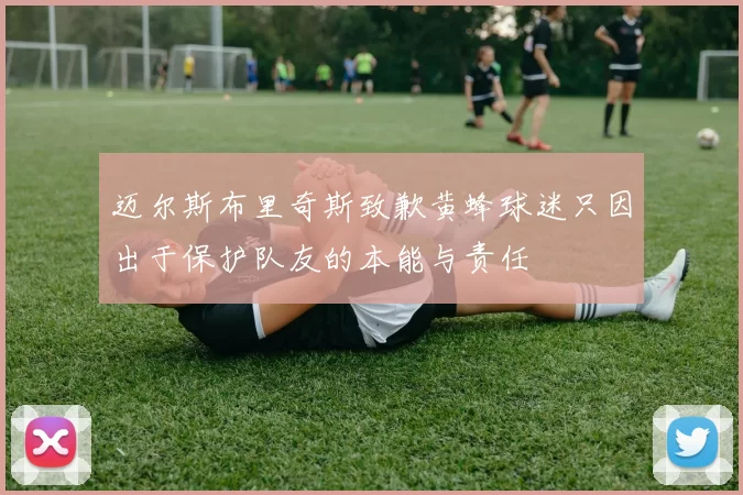 迈尔斯布里奇斯致歉黄蜂球迷只因出于保护队友的本能与责任