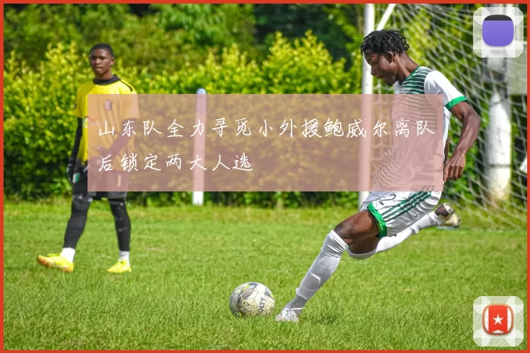 山东队全力寻觅小外援鲍威尔离队后锁定两大人选
